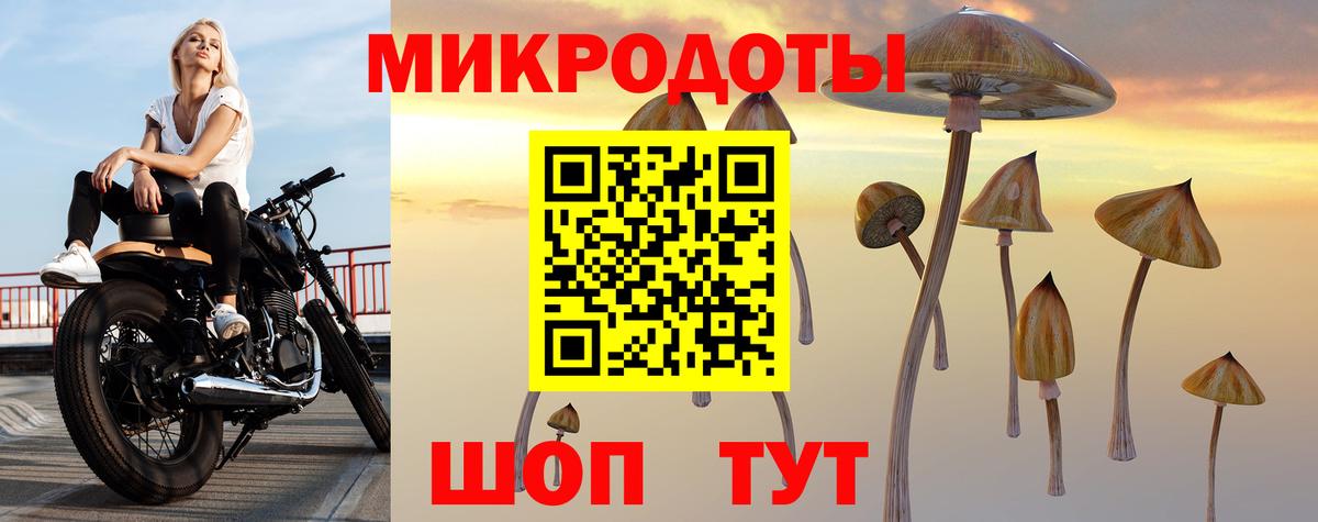 Псилоцибиновые грибы Magic Shrooms  Галлюциногенные грибы MAGIC MUSHROOMS  Луга  Вход с VPN 